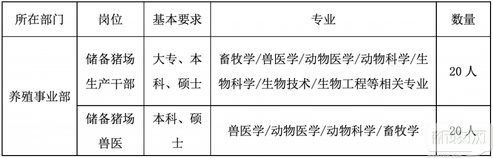 “抢人”大战爆发！猪场场长跟熊猫一样稀少