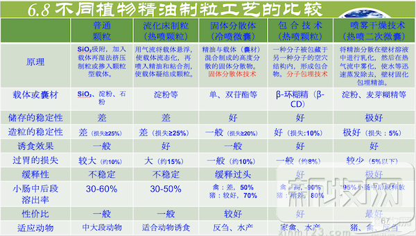 天佳肖世平：植物精油的应用需遵循三个关键原则