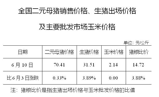 生猪数据：        全国二元母猪销售价格、生猪出场价格及主要批发市场玉米价格（6月10日）