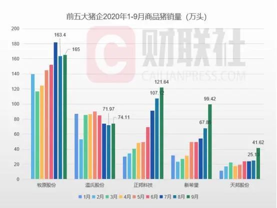 美国猪肉对华出口暴增89%，猪价跌入15元区间！官方：存栏已恢复至常年80%