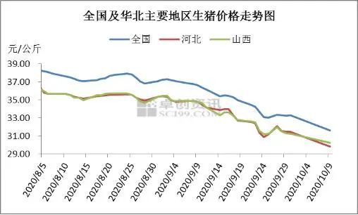 美国猪肉对华出口暴增89%，猪价跌入15元区间！官方：存栏已恢复至常年80%