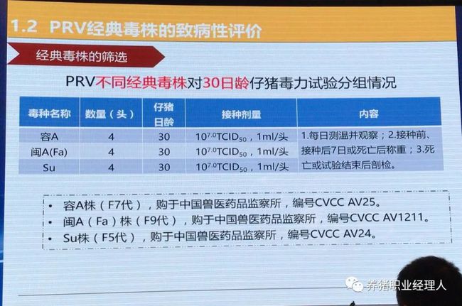 国内关于伪狂犬灭活苗的研究进展