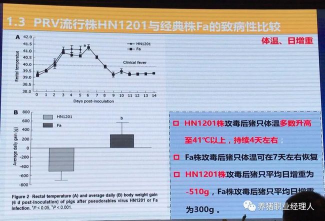 国内关于伪狂犬灭活苗的研究进展