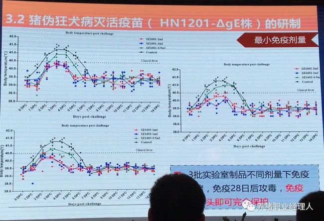 国内关于伪狂犬灭活苗的研究进展