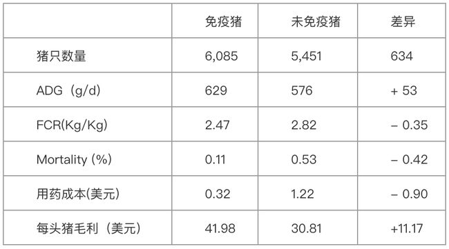 育肥猪场阳性比例高达98%！猪回肠炎该怎么防？