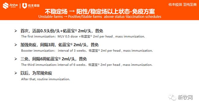 佑本赵福相：三种类型猪场净化蓝耳病，可以这样操作