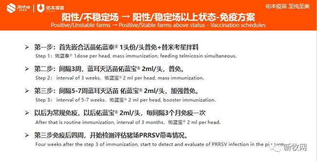 佑本赵福相：三种类型猪场净化蓝耳病，可以这样操作