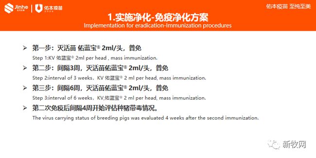 佑本赵福相：三种类型猪场净化蓝耳病，可以这样操作