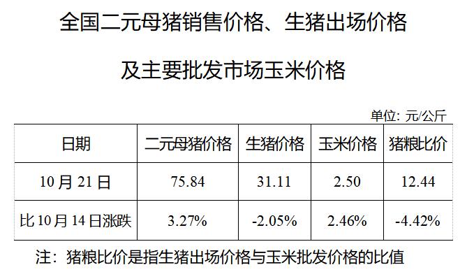 生猪数据：        全国二元母猪销售价格、生猪出场价格及主要批发市场玉米价格（10月21日）