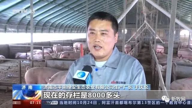 49元/公斤，猪肉价格首次同比下降！农业农村部官员：生猪生产恢复形势好于预期