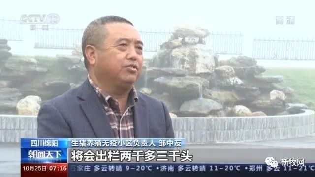 49元/公斤，猪肉价格首次同比下降！农业农村部官员：生猪生产恢复形势好于预期