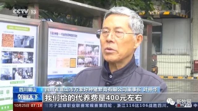 49元/公斤，猪肉价格首次同比下降！农业农村部官员：生猪生产恢复形势好于预期