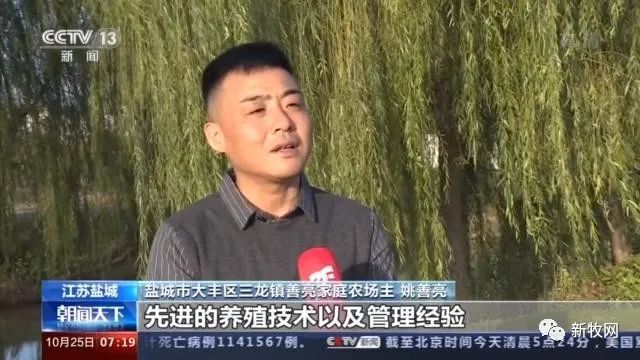 49元/公斤，猪肉价格首次同比下降！农业农村部官员：生猪生产恢复形势好于预期