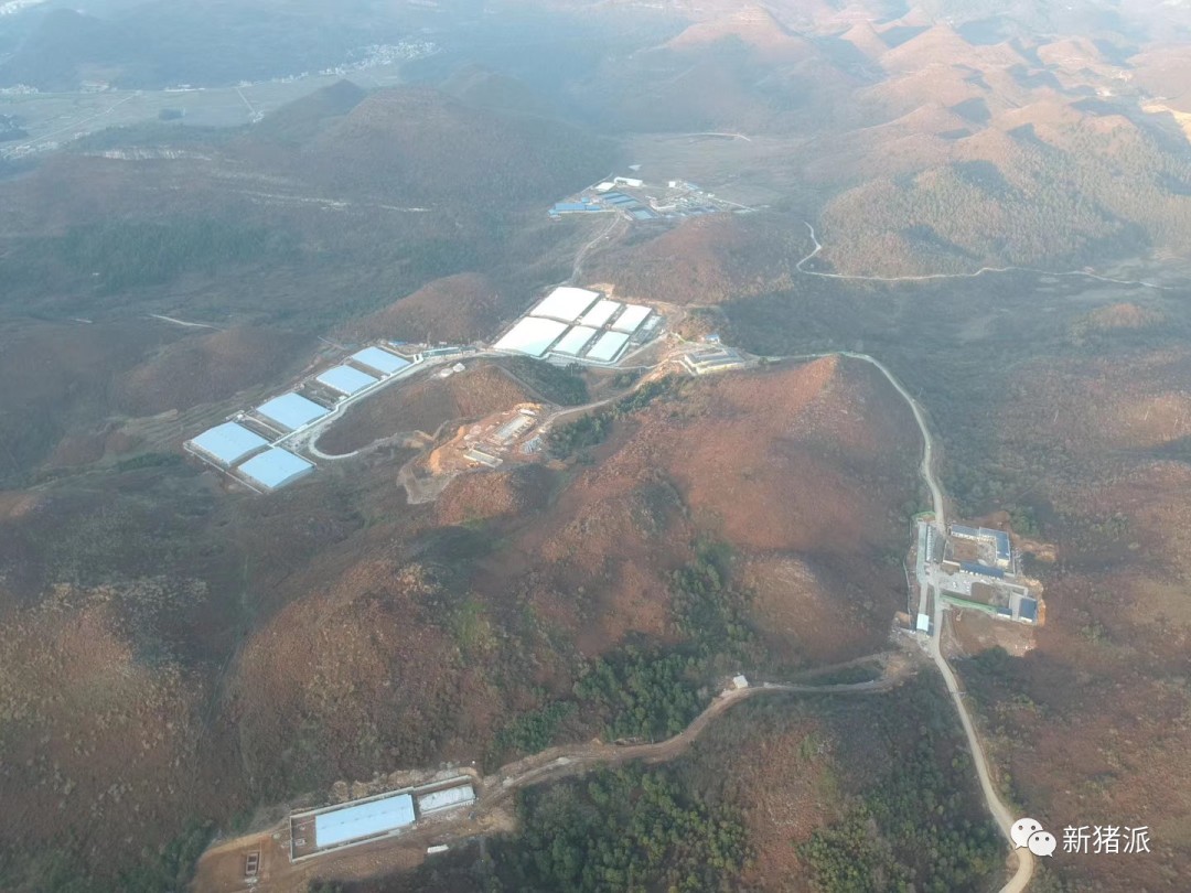 新建万头原种场、80亿布局全产业链！“无老板”的力源集团缔造持续66年盈利神话