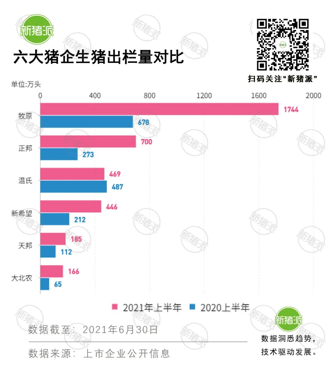 半年成绩单:15家猪企出栏4243万头，目标完成率欠佳