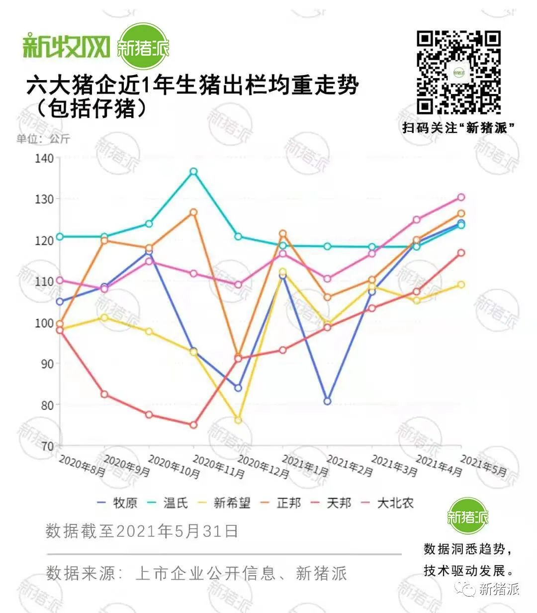 广西惊现5元猪肉，多地猪价跌破6元，大集团纷纷准备过冬