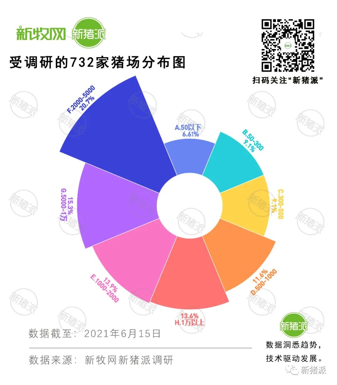 全国732家猪场调研发现，57%的猪场开展批次化后都遇到这个问题