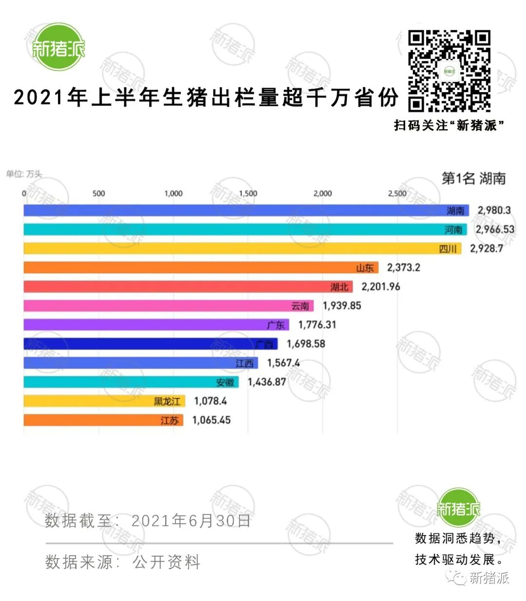 全年出栏或超7亿头！2021上半年全国养猪三大指标创五年新高