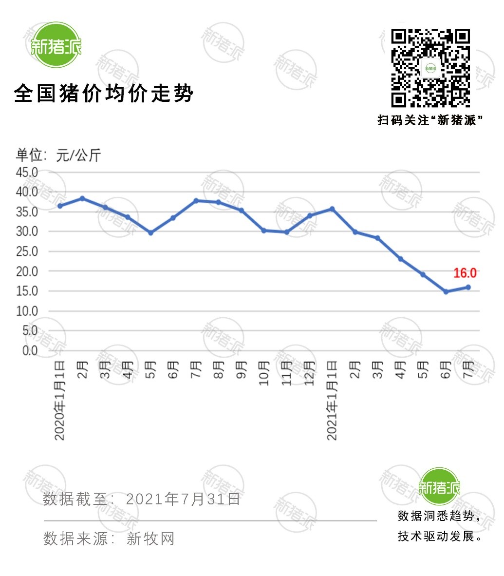 同比翻番！五大巨头7个月出猪超4200万头，牧原出栏2045万头领跑全行业