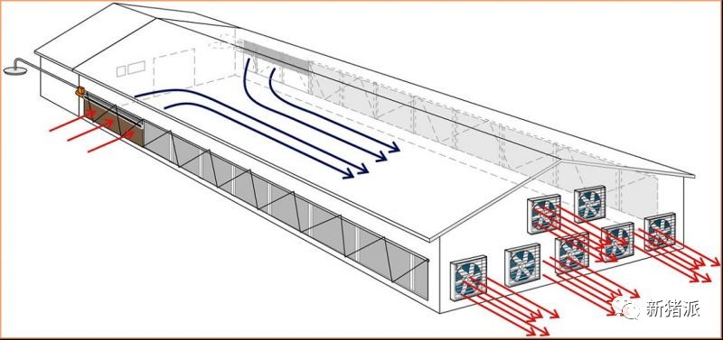 【收藏】楼房猪场配备空气过滤、除臭系统，靶向通风或是最佳方案