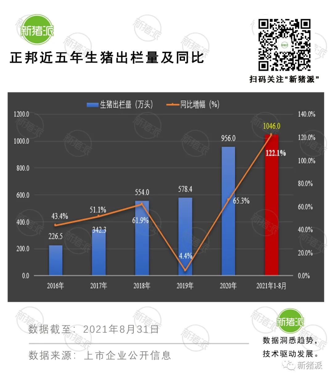 理想与现实的较量：8月收入最高降6成，上市猪企也快顶不住了