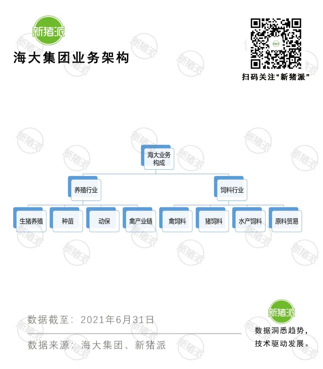 海大集团持续盈利超15年，收入年增速33%，猪饲料是未来发展重心