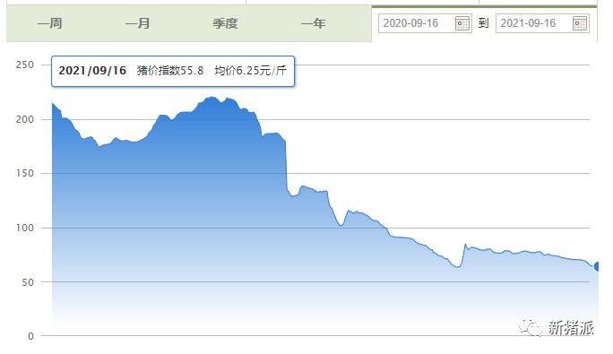 猪价暴跌猪农退养，猪苗遭50元一头贱卖：大家准备好资金过冬吧