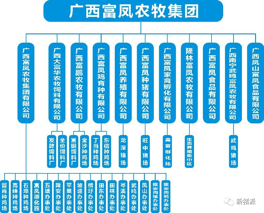 投1.2亿建种猪场！广西养鸡龙头入局种猪繁育，打造1.6亿+20万生猪农牧集团