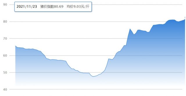 猪价一月内涨近80%，但行业亏损可能才刚刚开始