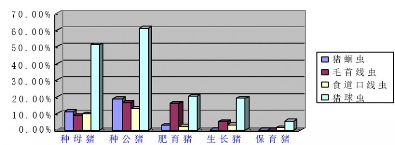 翁亚彪：猪场增效降本突破口，解决偷走利润的寄生虫病