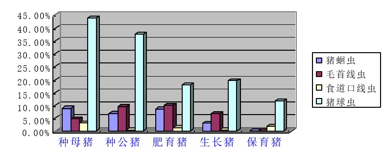 翁亚彪：猪场增效降本突破口，解决偷走利润的寄生虫病