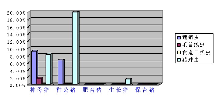 翁亚彪：猪场增效降本突破口，解决偷走利润的寄生虫病