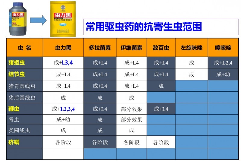 翁亚彪：猪场增效降本突破口，解决偷走利润的寄生虫病