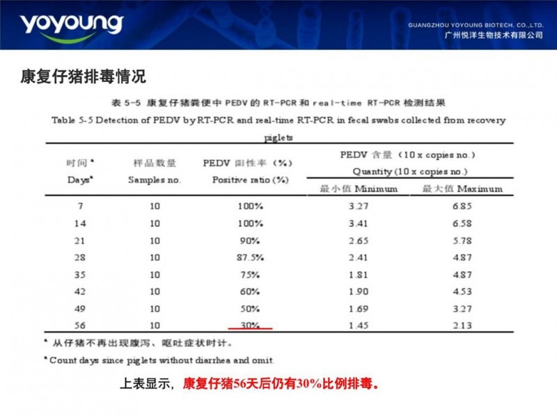 悦洋生物李雪平：猪腹泻综合防控中，做好病原载量监测非常重要