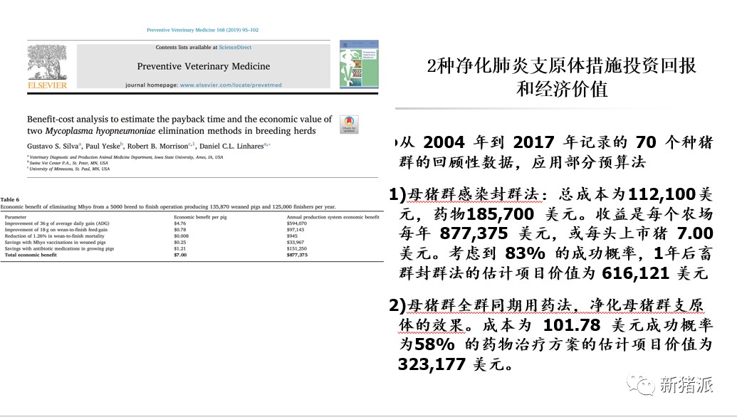 张桂红：当下或是猪病净化最佳时期，增效降本兽医也要算好经济账