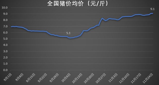 广东猪价涨至10元！12月将迎来需求高峰，猪价或涨至春节前