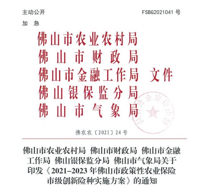 超2000万元风险保障，佛山首张政策性猪饲料成本保单落地