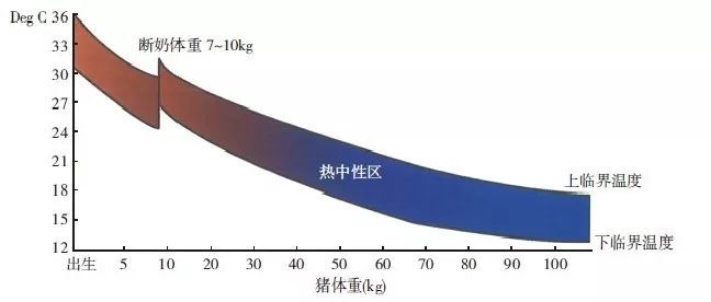 适宜猪群生长的环境温度知多少