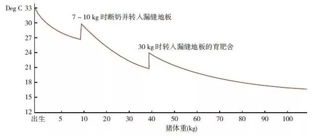 适宜猪群生长的环境温度知多少