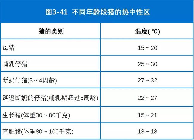 适宜猪群生长的环境温度知多少