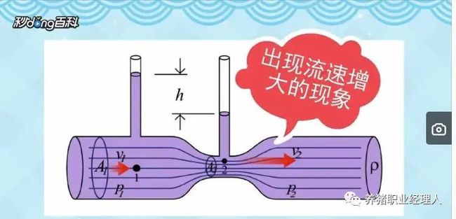 猪舍冬季通风与文丘里效应