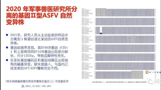 权威解读||当前非洲猪瘟流行状况与防控措施