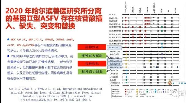 权威解读||当前非洲猪瘟流行状况与防控措施