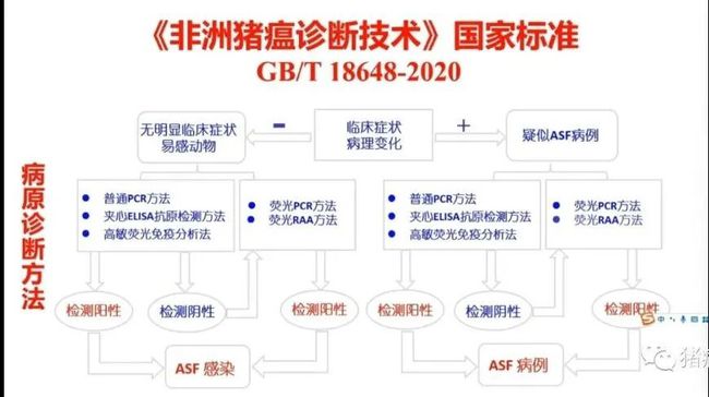 权威解读||当前非洲猪瘟流行状况与防控措施