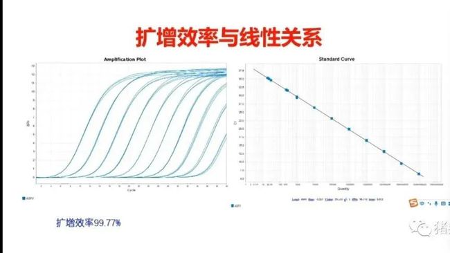 权威解读||当前非洲猪瘟流行状况与防控措施