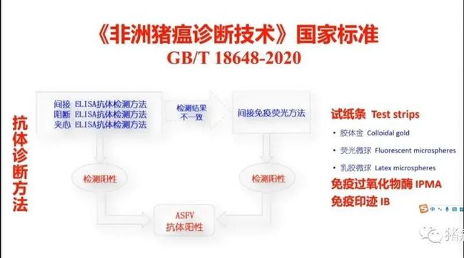 权威解读||当前非洲猪瘟流行状况与防控措施