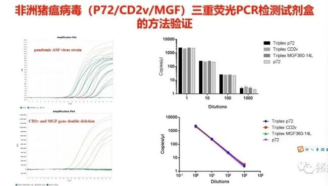 权威解读||当前非洲猪瘟流行状况与防控措施