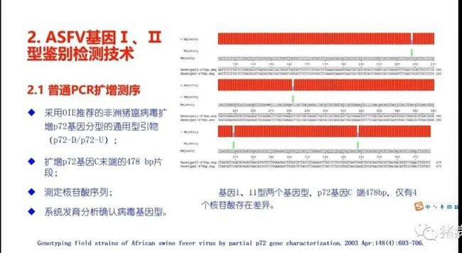 权威解读||当前非洲猪瘟流行状况与防控措施