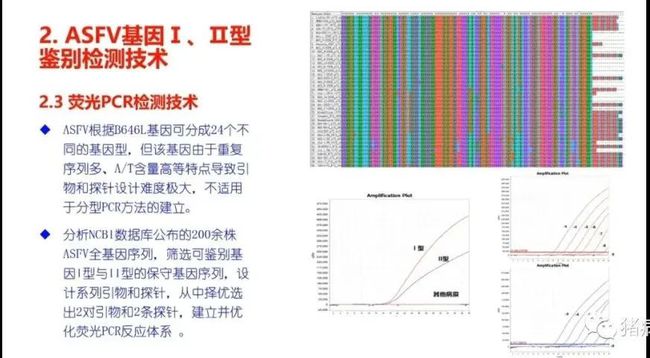 权威解读||当前非洲猪瘟流行状况与防控措施