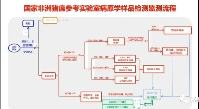 权威解读||当前非洲猪瘟流行状况与防控措施